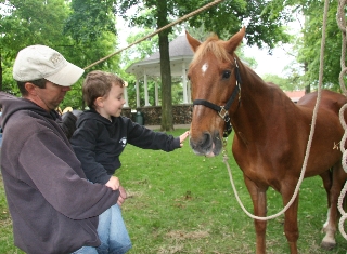Future Cavalry soldier meets Ransom, the Saddlebred